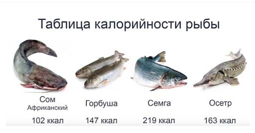 Калорийность видов рыбы