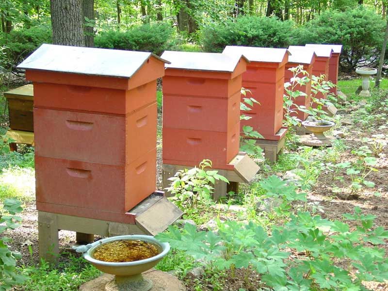 Материалы, которые нужны для изготовления пчелиного улья