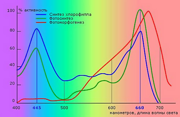 Спектральный анализ солнечных лучей