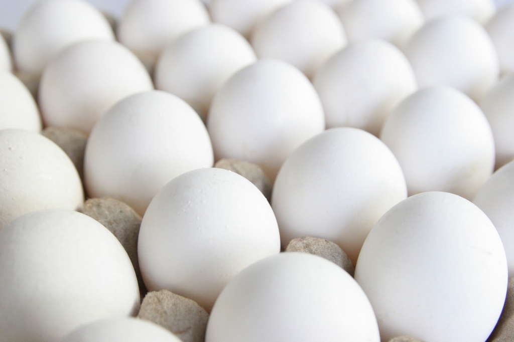 Яйца белой несушки Хай-Лайн.jpg