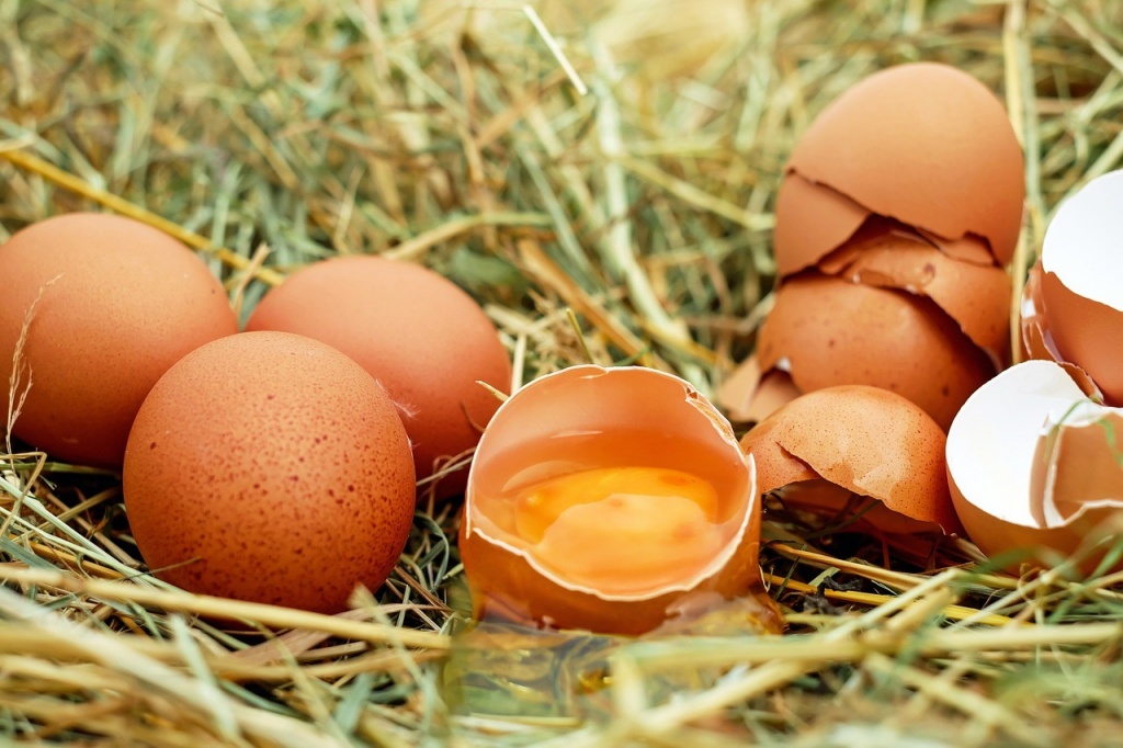 Определяем свежесть яиц.jpg