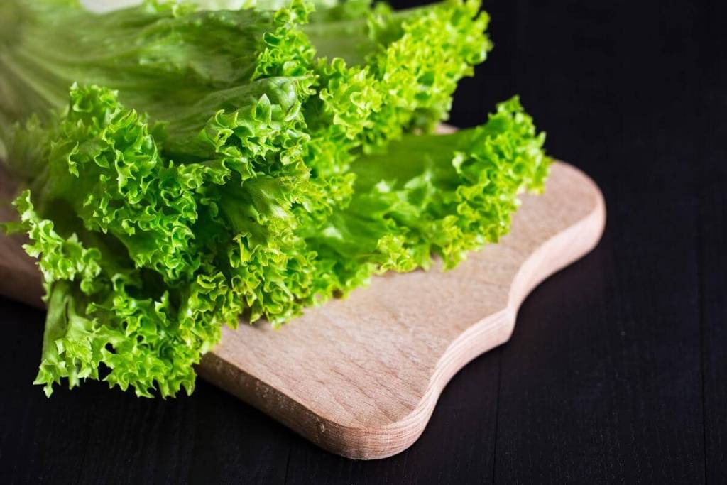 Потребительские свойства салата листового