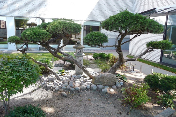 Миниатюрный японский сад.jpg