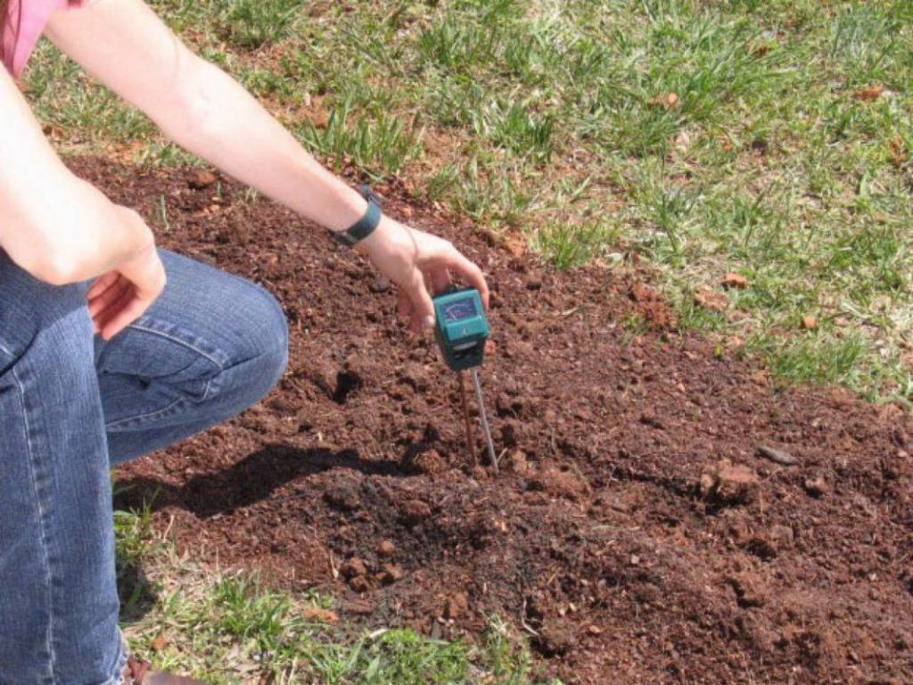 Инструмент для тестирования кислотности почвы