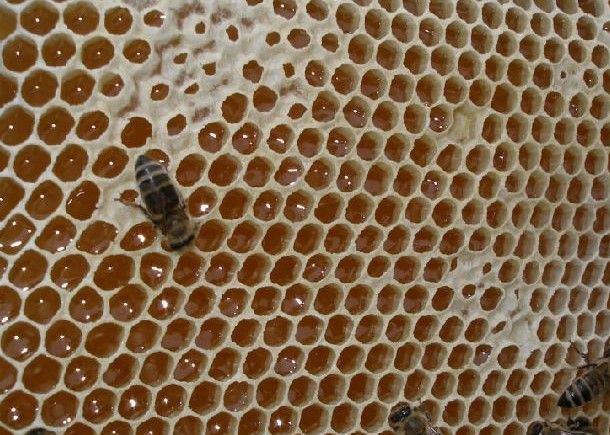 Запечатування меду