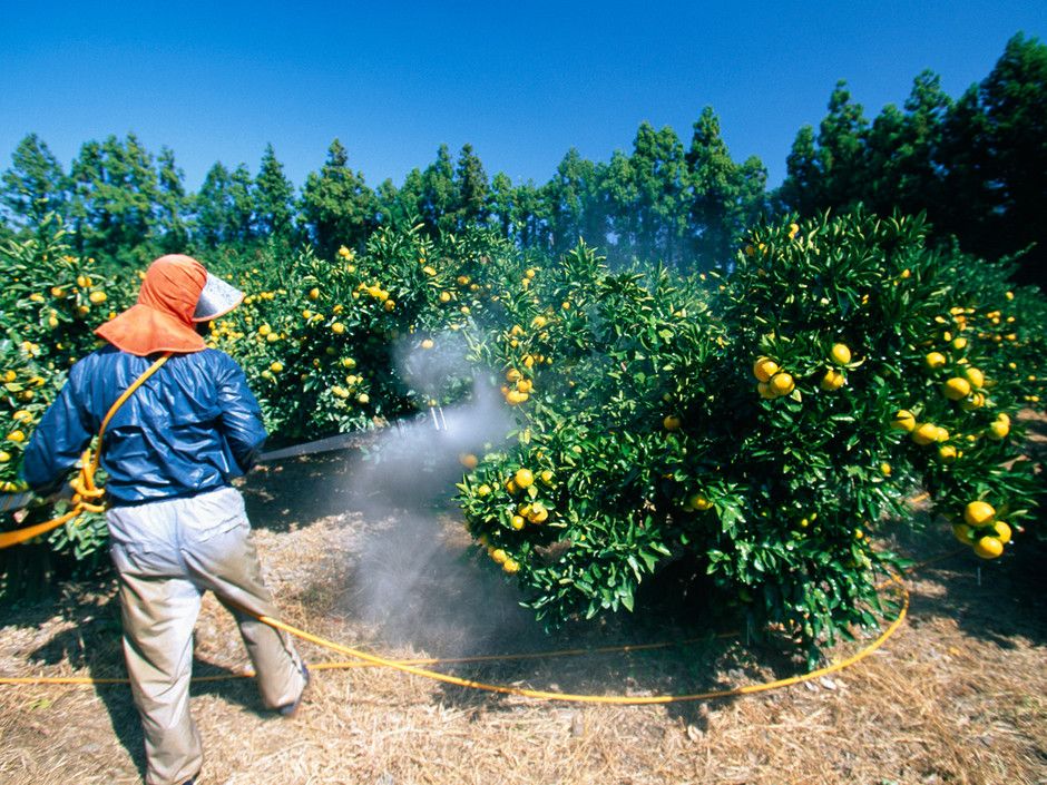 Вред пестицидов и ядохимикатов