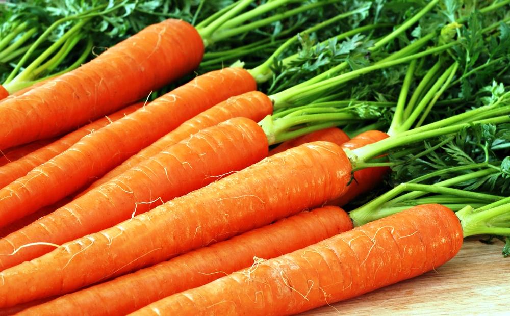 Морковь сорта Тип-Топ.jpg