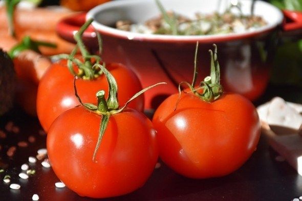 Урожай томатов на грядке