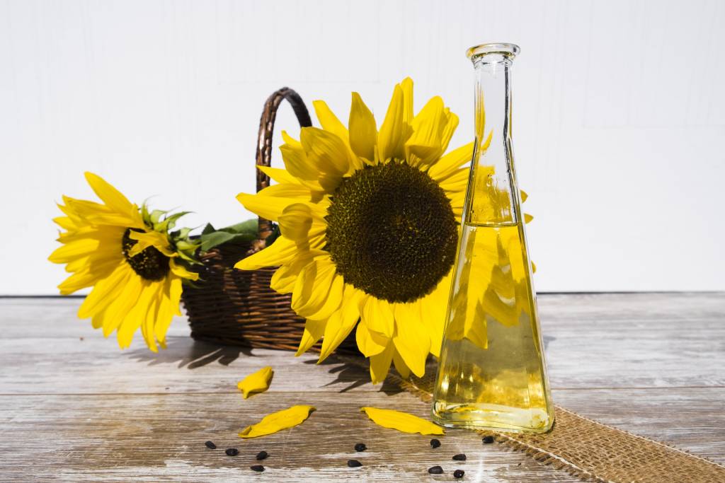 Україна традиційно продовжує лідирувати в експорті соняшникової олії