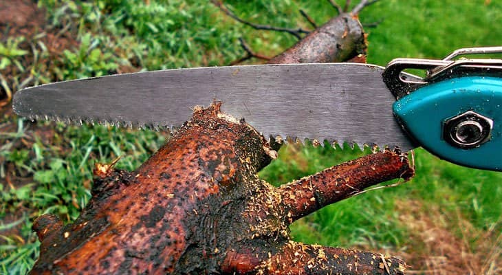 Ножовка садовая