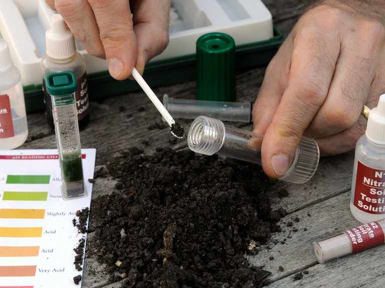 Как провести тест для определения кислотности почвы?