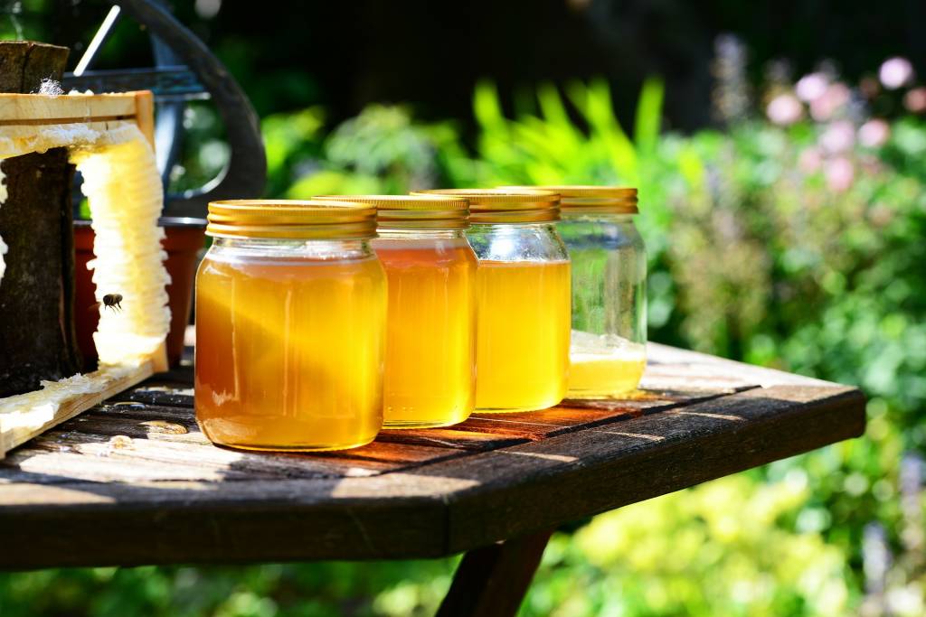 Український мед має високу якість і попит на міжнародних ринках