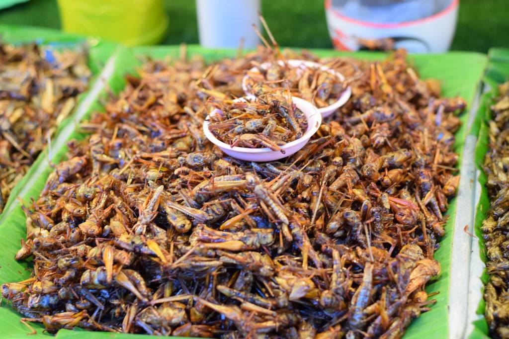 Смажені цвіркуни - популярна вулична їжа в азійських країнах