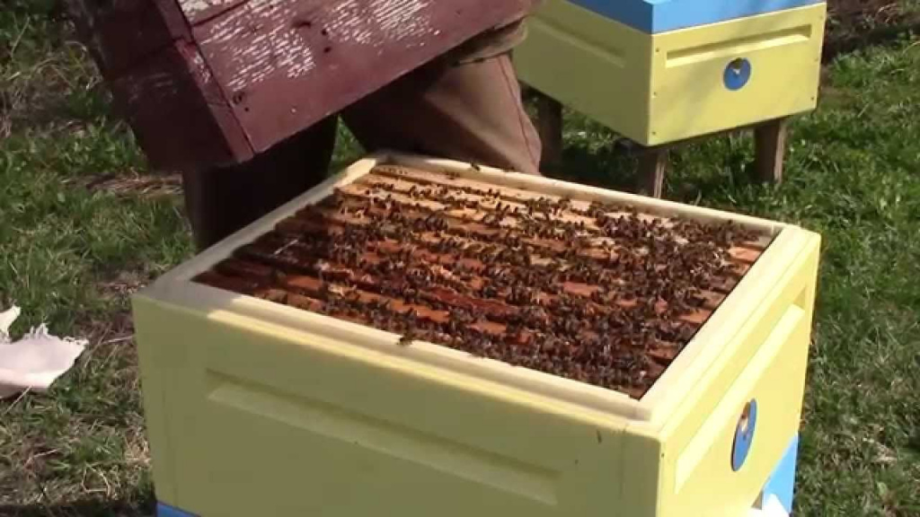 Материалы, которые нужны для изготовления пчелиного улья