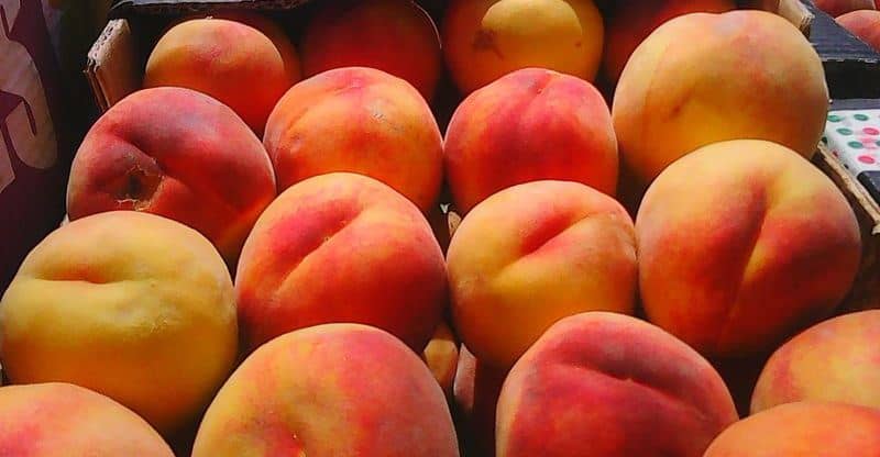 Лучшие сорта персика, рекомендованные к выращиванию на территории Украины