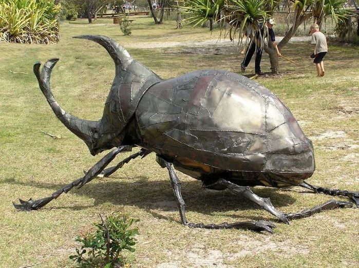 Памятник жуку-носорогу в Карамбине (Австралия).jpg