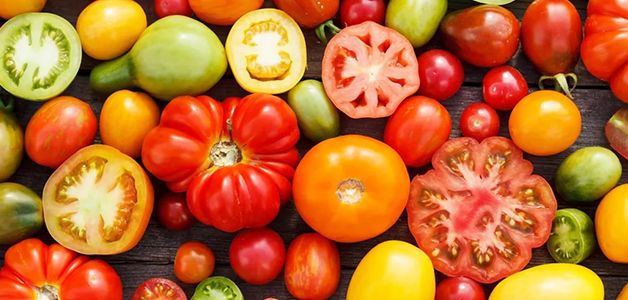 Как увеличить урожайность томатов