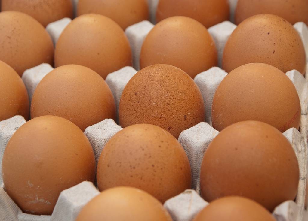 Виробництво яєць у 2020 році виявилося збитковим