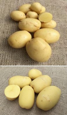 мелкий картофель
