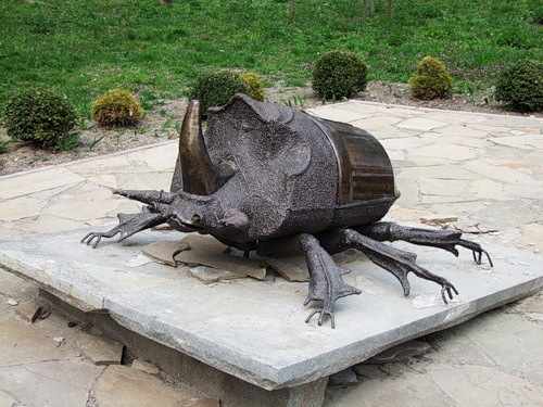 Памятник жуку-носорогу в Киеве (Украина).jpg