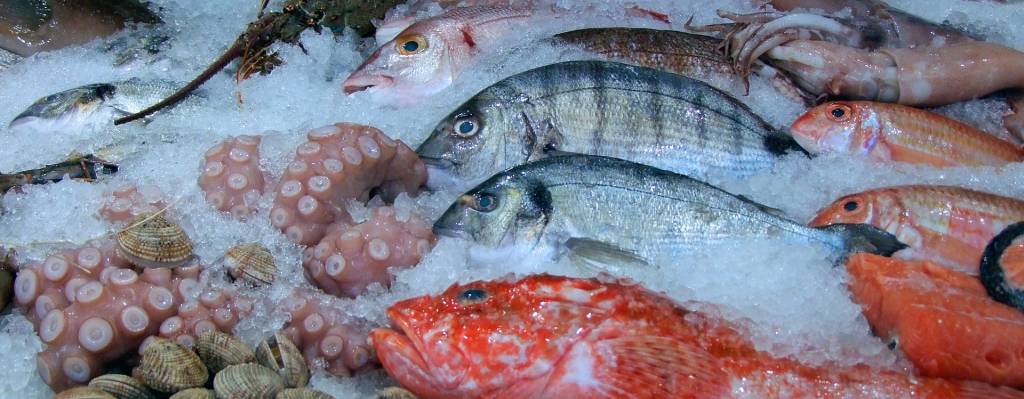 У 2022 році до України імпортовано риби й морепродуктів на 627 млн дол. США.