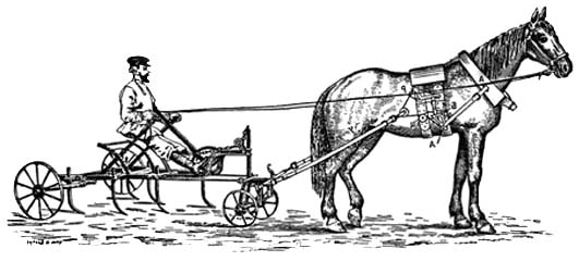 Иллюстрация из книги И. Овсинского "Новая система земледелия"