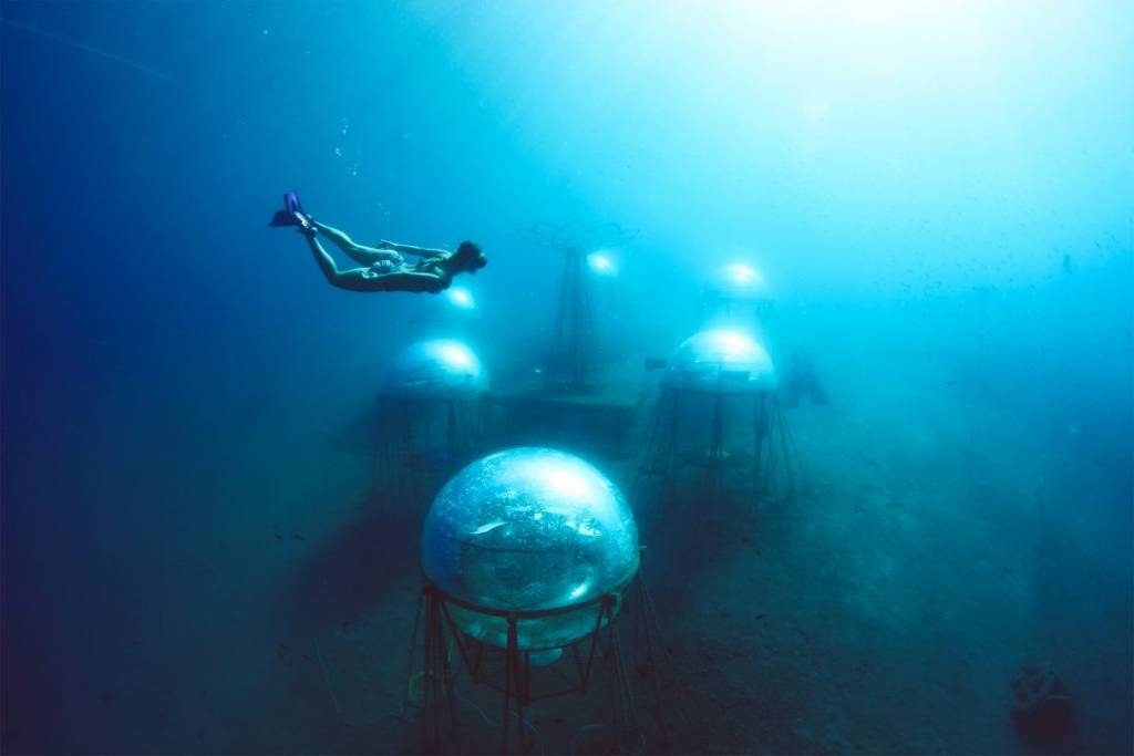 Проплывая над подводным садом