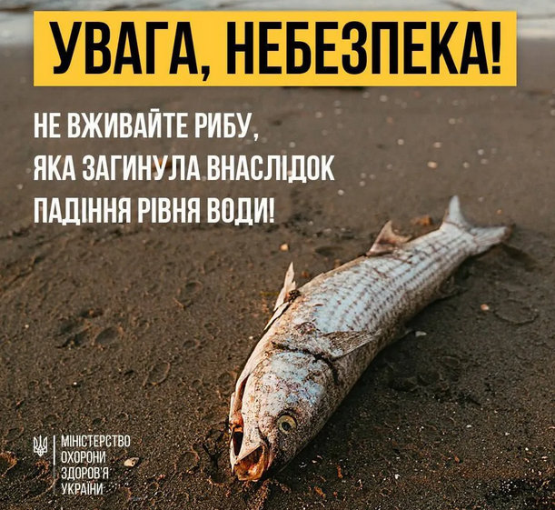 Попередження МОЗ України про небезпеку споживання мертвої риби