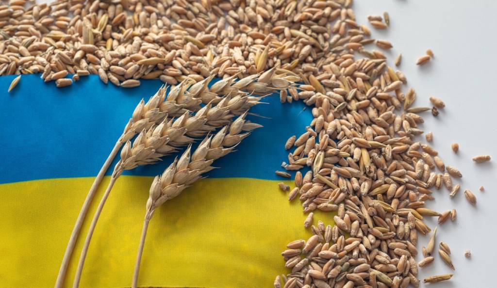 Основною групою агропродовольчого експорту України залишаються зернові культури