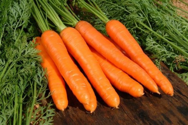 Сорт моркови Финхор крупный, практически без сердцевины.jpg