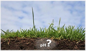 Влияние кислотности почвы на растения. Способы нейтрализации высокой кислотности почвы