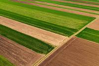 В Украине продано почти четверть миллиона гектаров земли