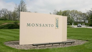 Крупный производитель семян Monsanto строит завод в Украине