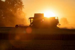 Украинские аграрии собрали уже почти 27 миллионов тонн зерна
