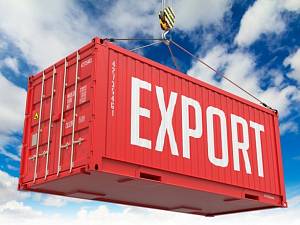 Украина экспортировала более 36 млн т зерна