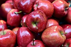 Этой зимой Украина экспортировала яблоки в 18 стран мира