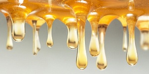 Итальянские пчеловоды требуют запретить импорт меда из Китая