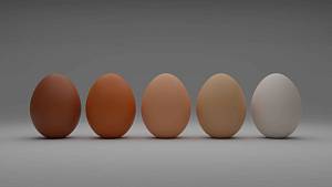 Яйце з історією: переваги маркування яєць для виробників