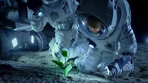 Без света и фотосинтеза: как вырастить урожай в космической темноте
