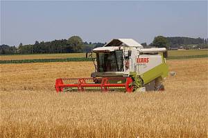Українські аграрії зібрали вже понад 14 мільйонів тонн зерна