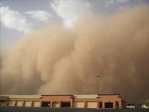 Пыльные бури как вызов современному сельскому хозяйству