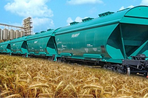 Зерновые компании просят отсрочить дату вступления новых тарифов «Укрзализныци»