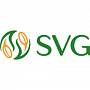 SVG Group