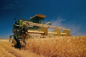 Собрано почти 20 млн тонн ранних зерновых культур