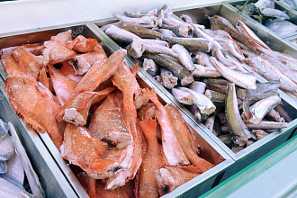 Холодильные камеры для рыбы и морепродуктов