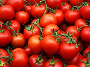 Россия не будет снимать запрет на импорт турецких томатов