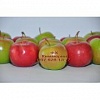  Красивые вкусные яблоки оптом от производителя.