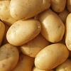 Продам картофель оптом от 20т