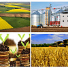Продаем землю,  фермерские хозяйства Украина 1000-100000 га