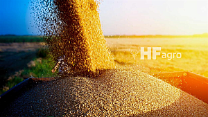Сезон продаж выгрузчиков зерна HF Agro открыт